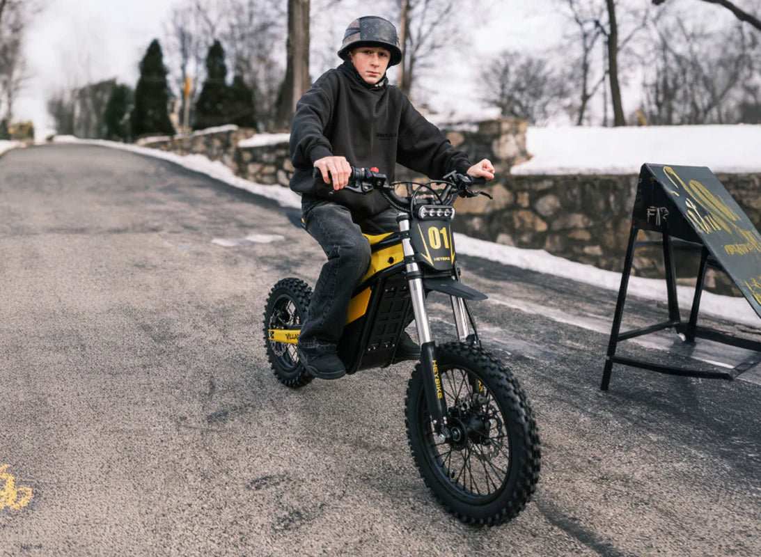 Heybike Villain